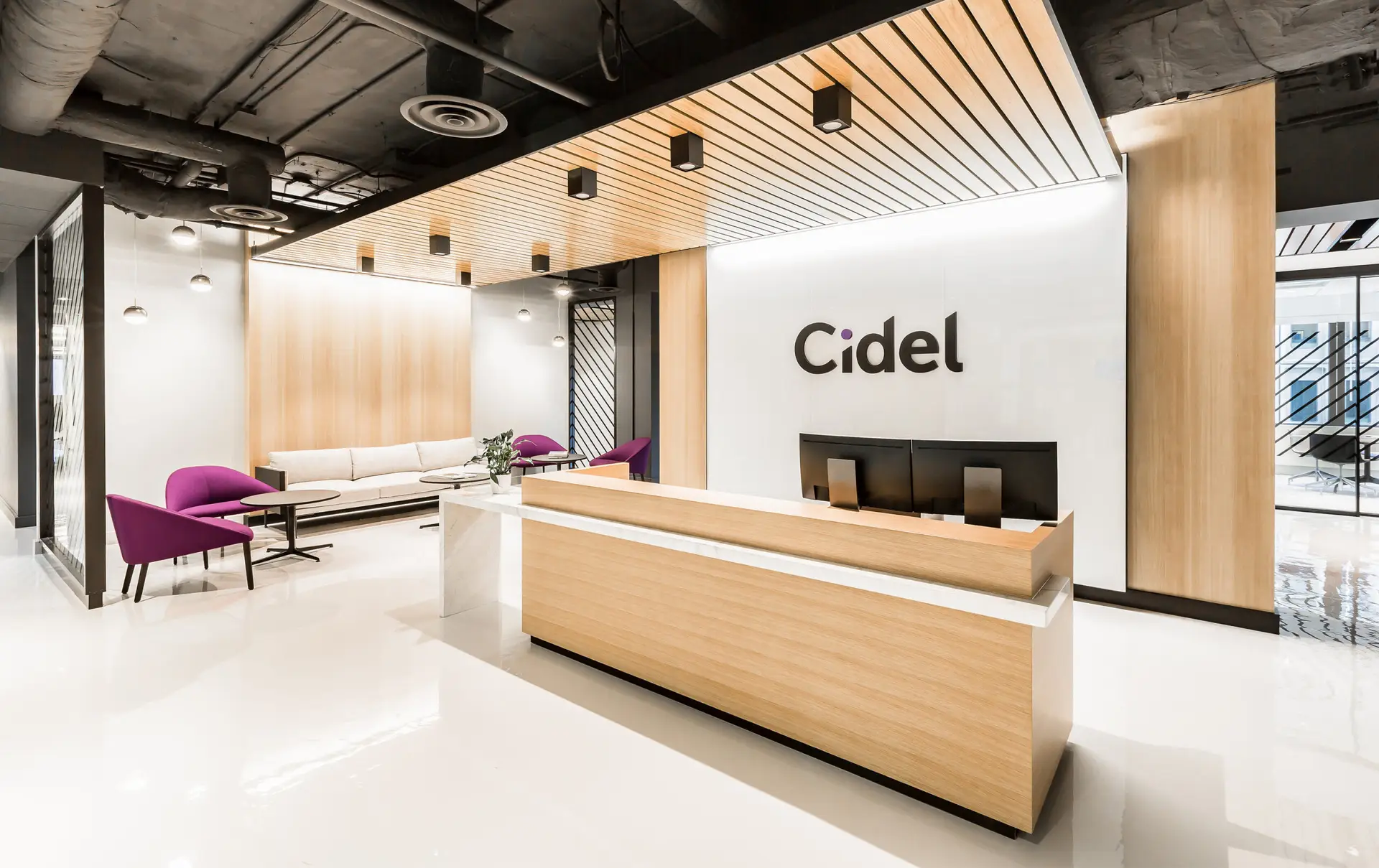 Cidel1